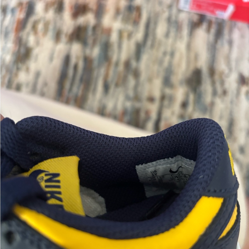 Nike Michigan Dunks - Picture 4 of 6